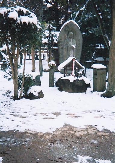 shin29