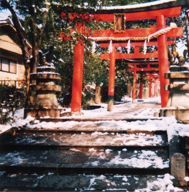 shin33