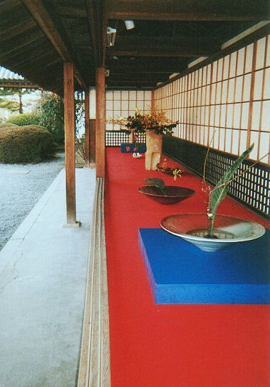 shin12